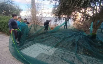 “Λιομαζώματα & Λιοκαμώματα”